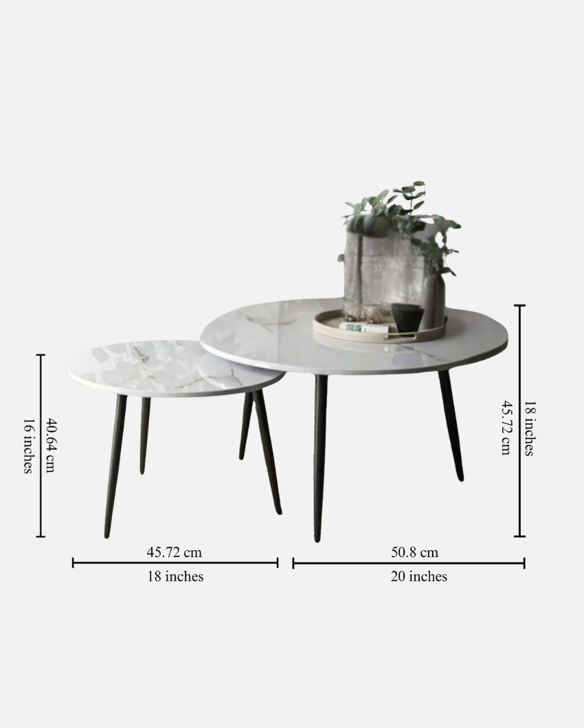 Classic Style Black Frame Coffee Table (Set of 2)